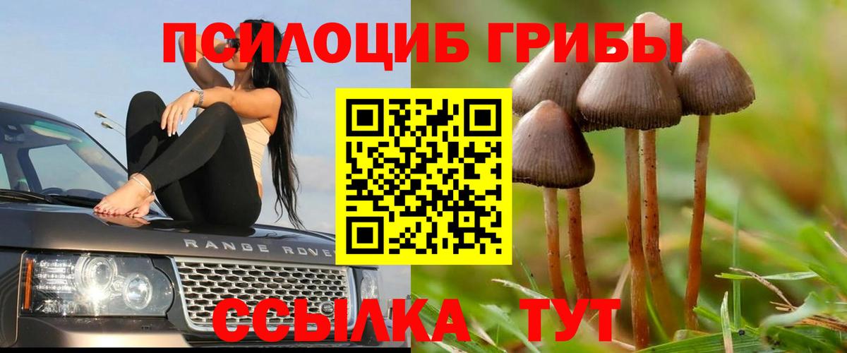 Псилоцибиновые грибы MAGIC MUSHROOMS  Вход с VPN  Северобайкальск 
